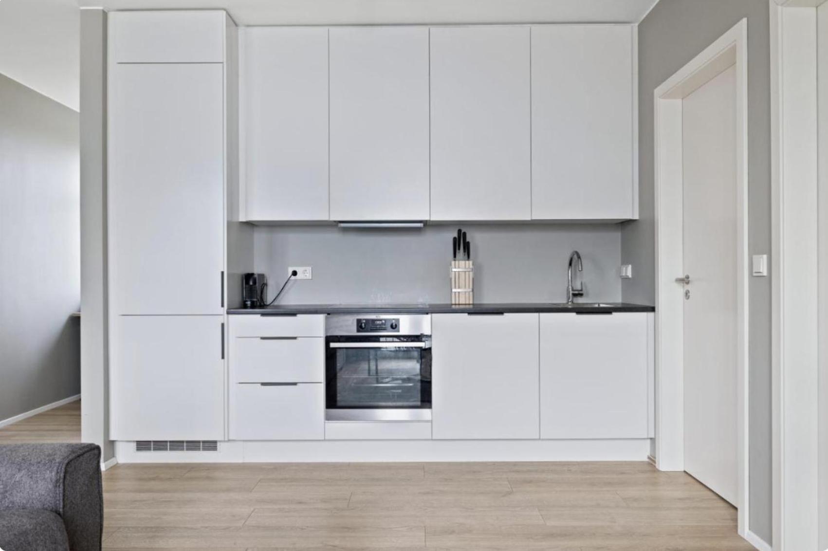 Cheerful Down Town Apartment Reykjavík Dış mekan fotoğraf