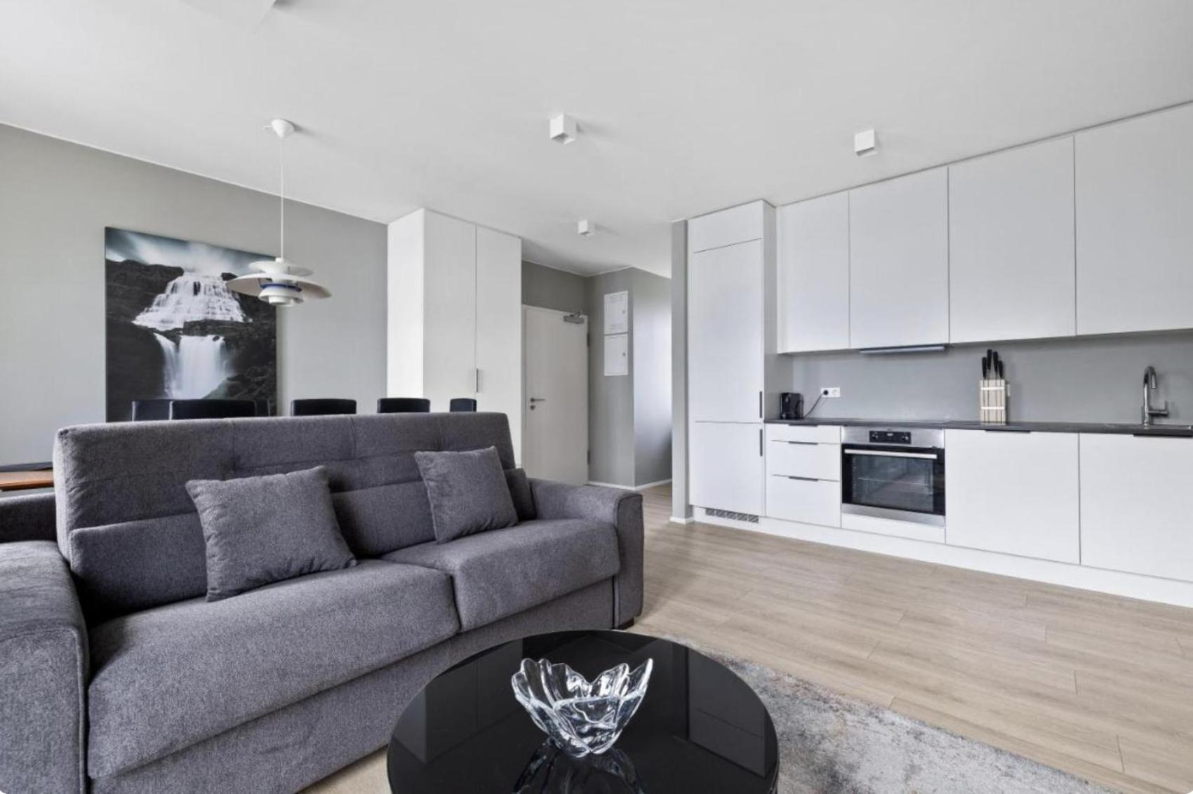 Cheerful Down Town Apartment Reykjavík Dış mekan fotoğraf